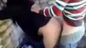 Ngentot Cewek Liar Seru Abis