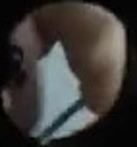 Ngintip Pembantu Sikat Wc